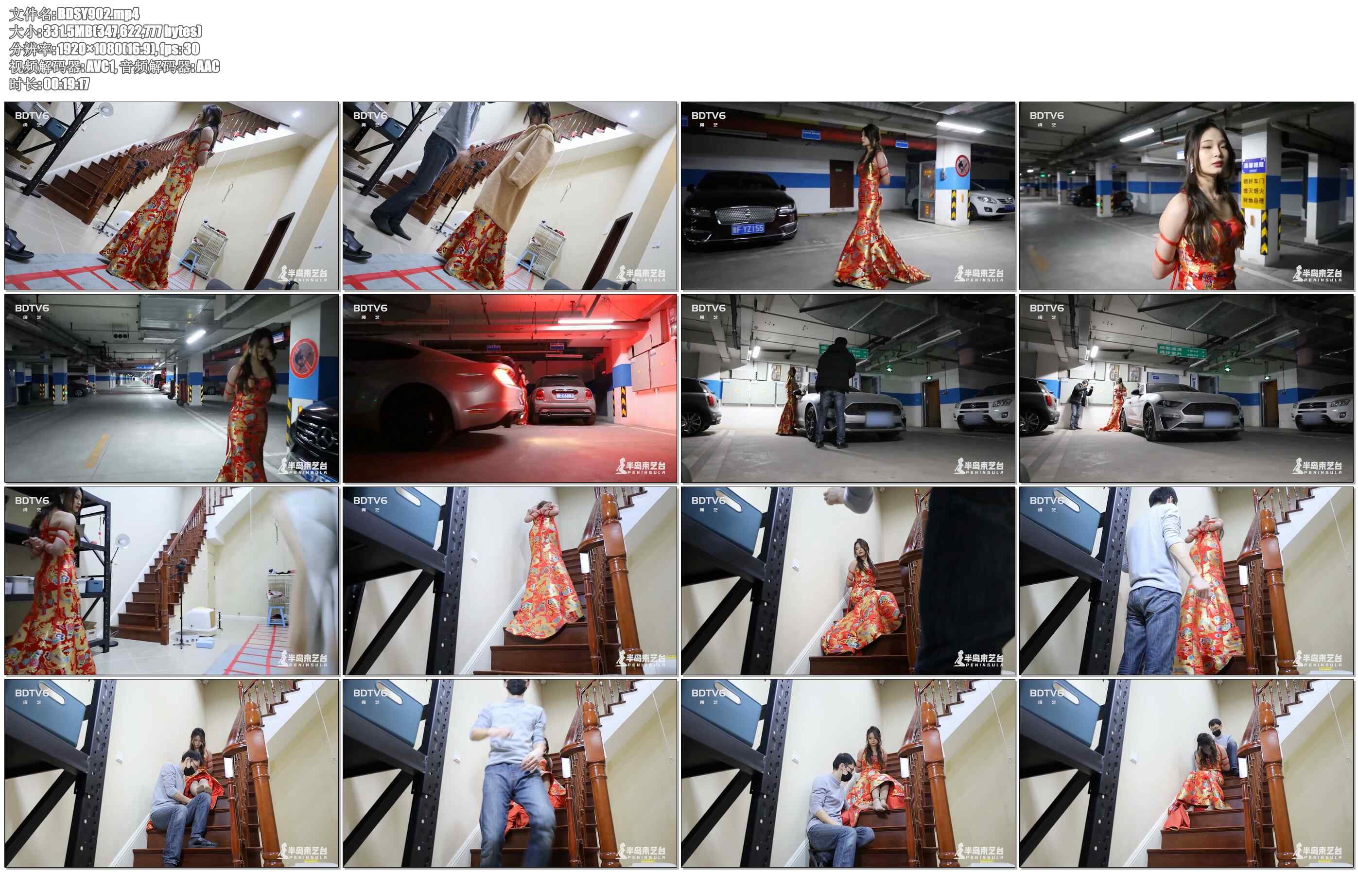 【半岛束艺】我需要一个车模