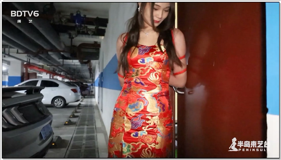 【半岛束艺】我需要一个车模