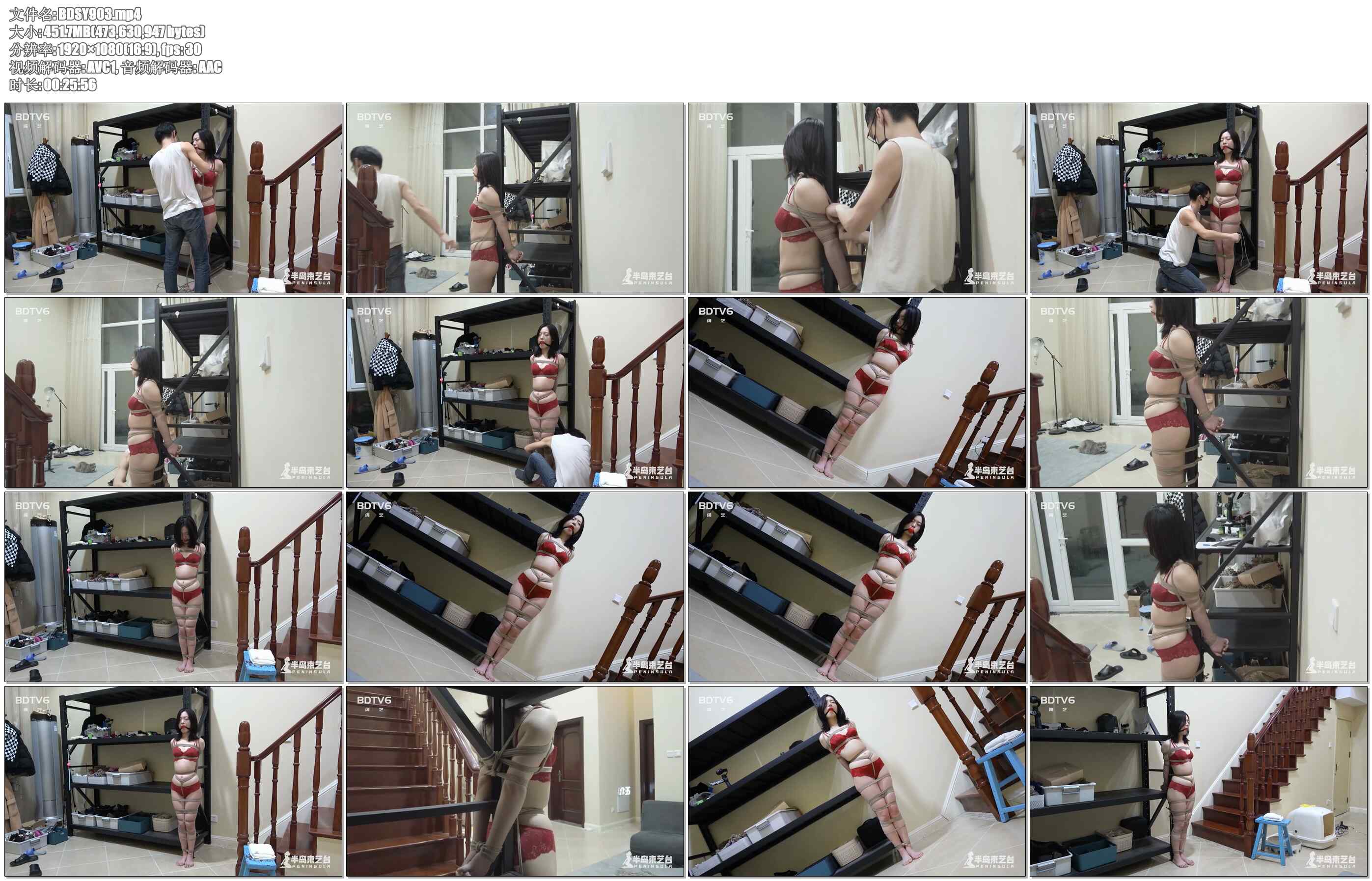 【半岛束艺】全能小偷3