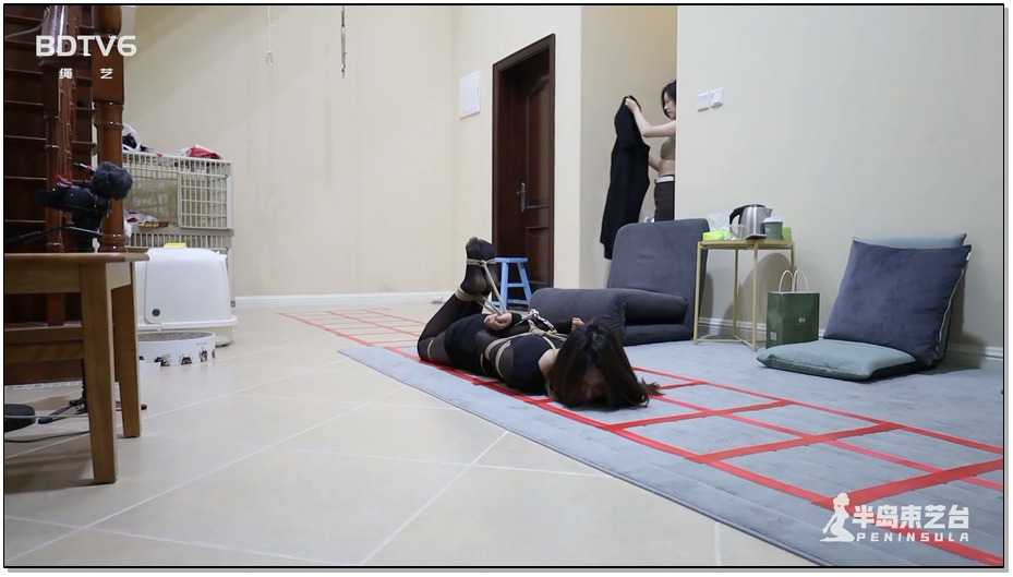 【半岛束艺】大型真人飞行棋游戏