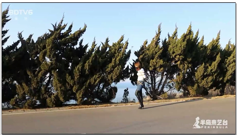 【半岛束艺】悬崖边上的三顺姐