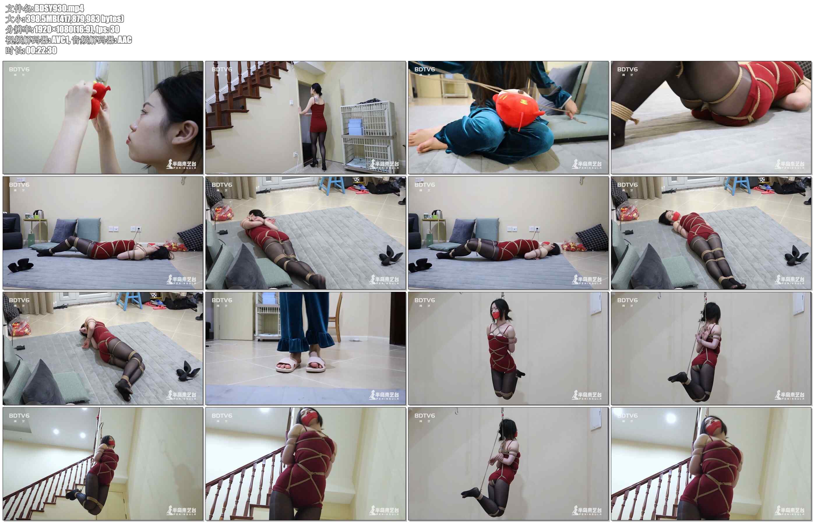 【半岛束艺】小老虎的本命年