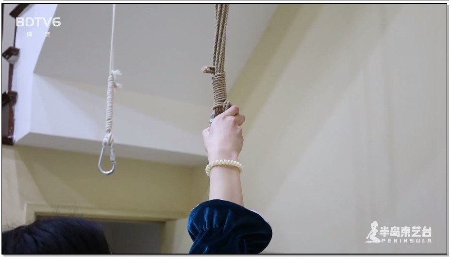 【半岛束艺】小老虎的本命年