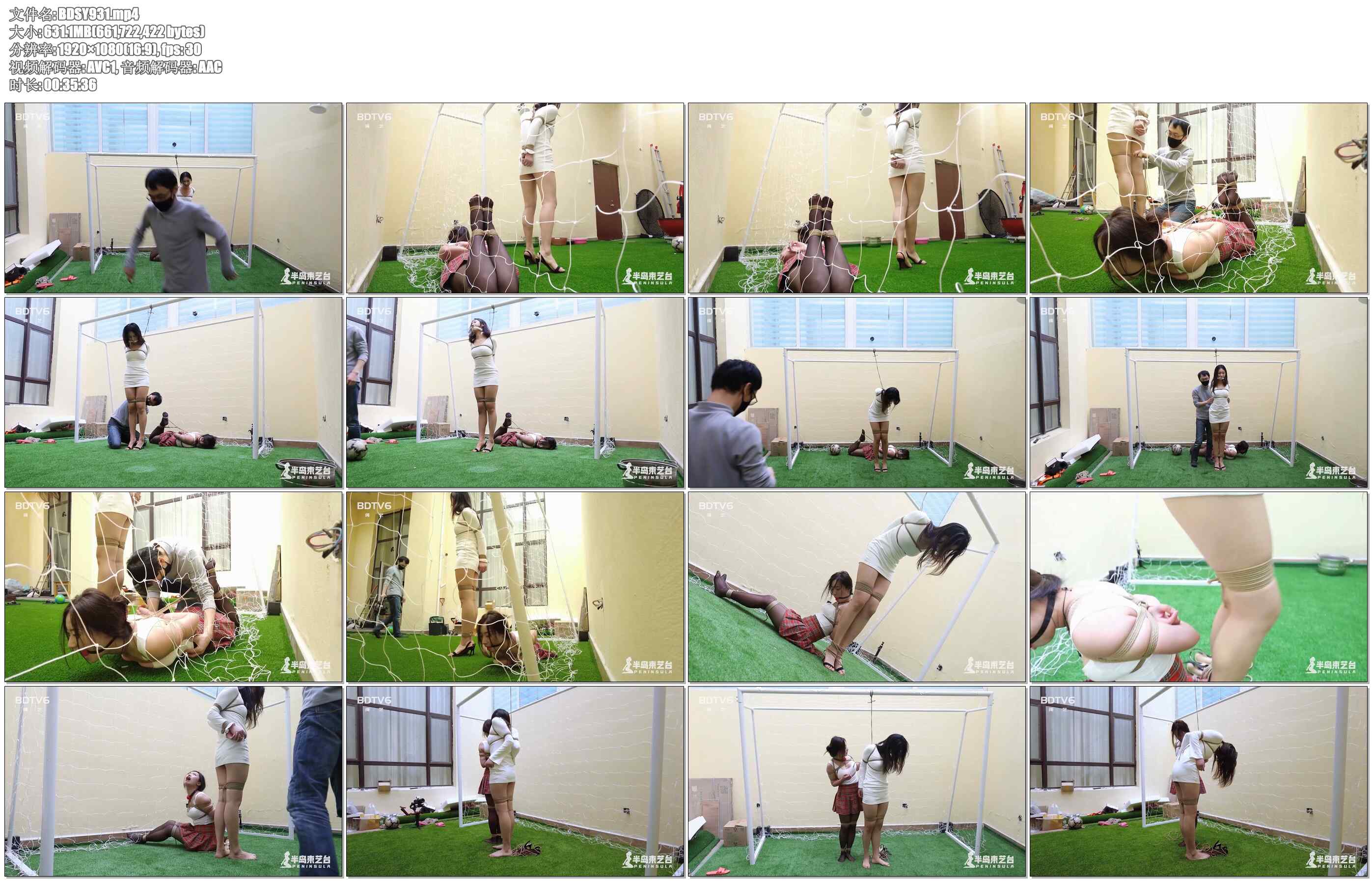 【半岛束艺】白鲸 奎因 姐姐保卫战 