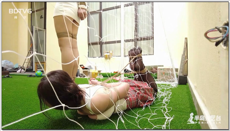 【半岛束艺】白鲸 奎因 姐姐保卫战 