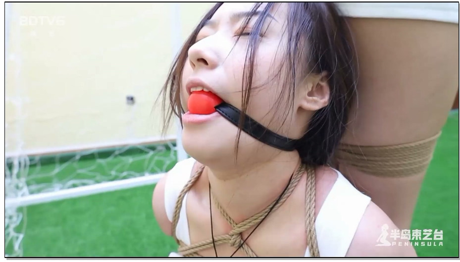 【半岛束艺】白鲸 奎因 姐姐保卫战 