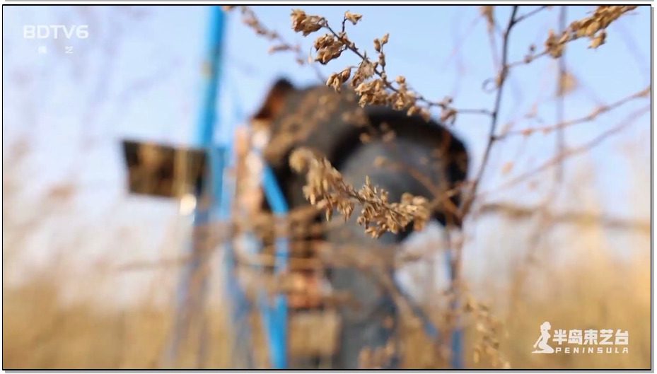 【半岛束艺】这就是青春的魅力 