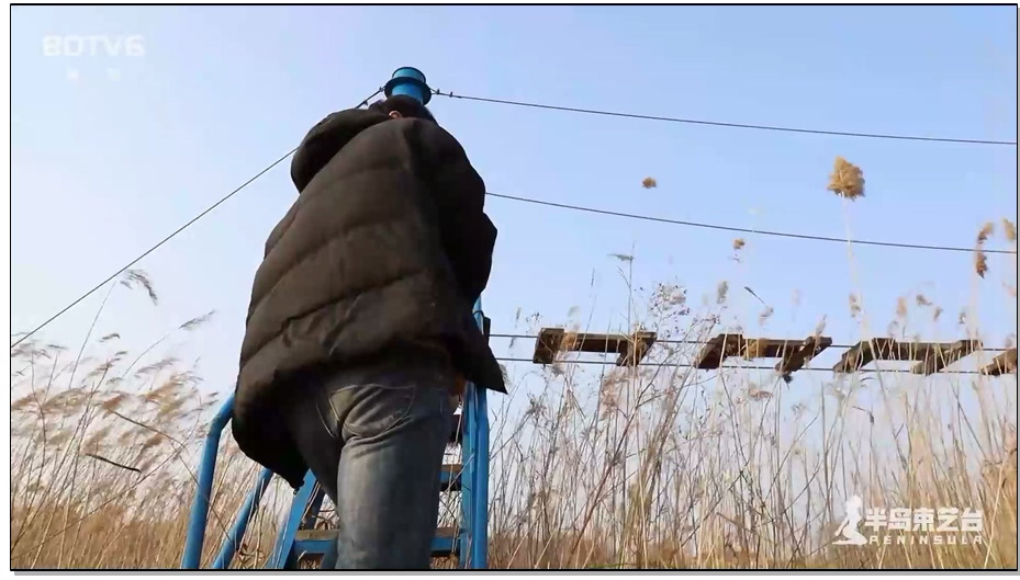 【半岛束艺】这就是青春的魅力 