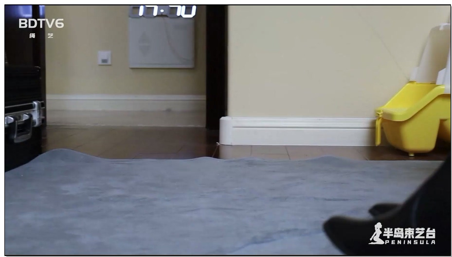 【半岛束艺】间谍危机 上