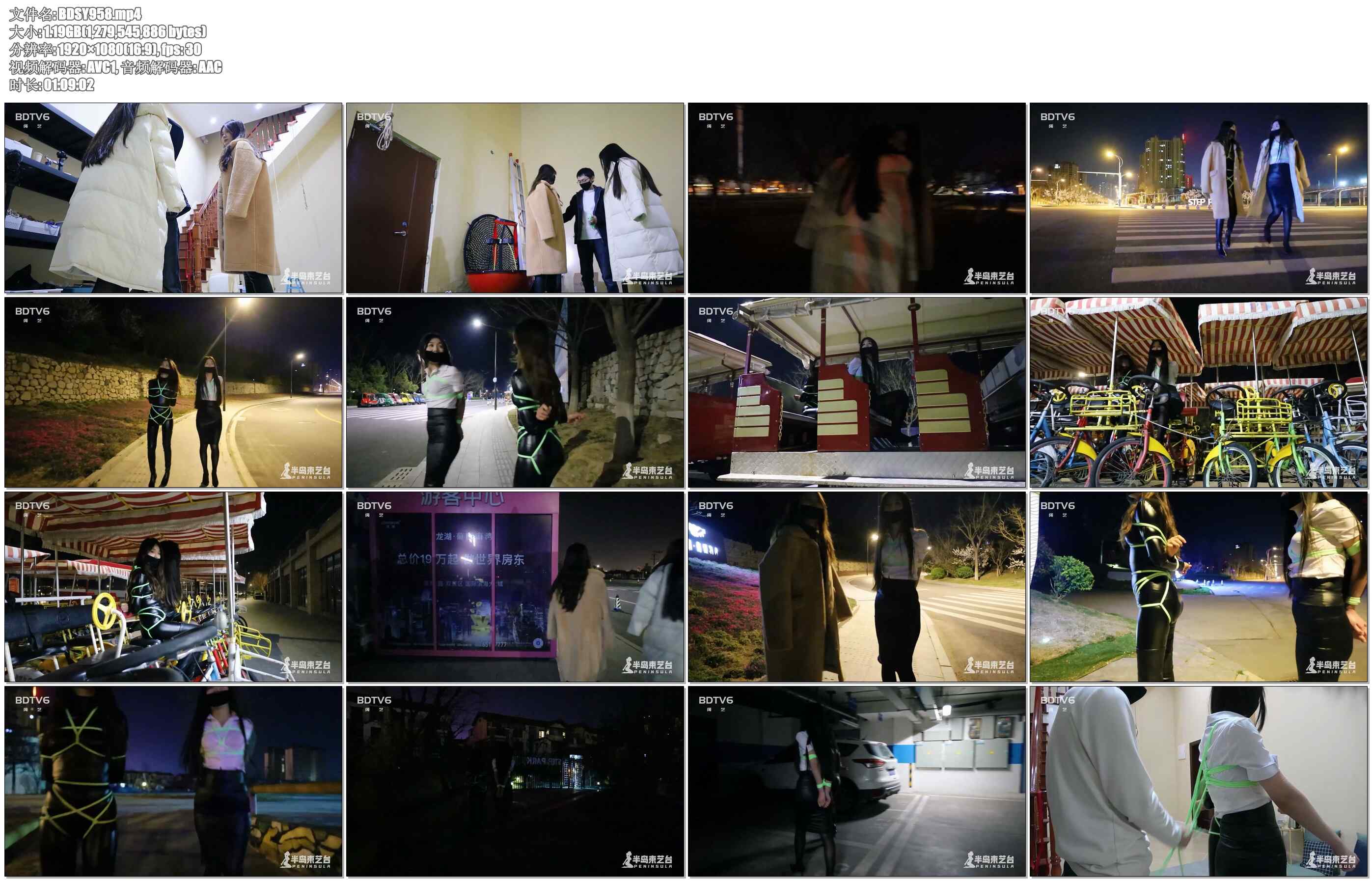 【半岛束艺】夜色中的荧光