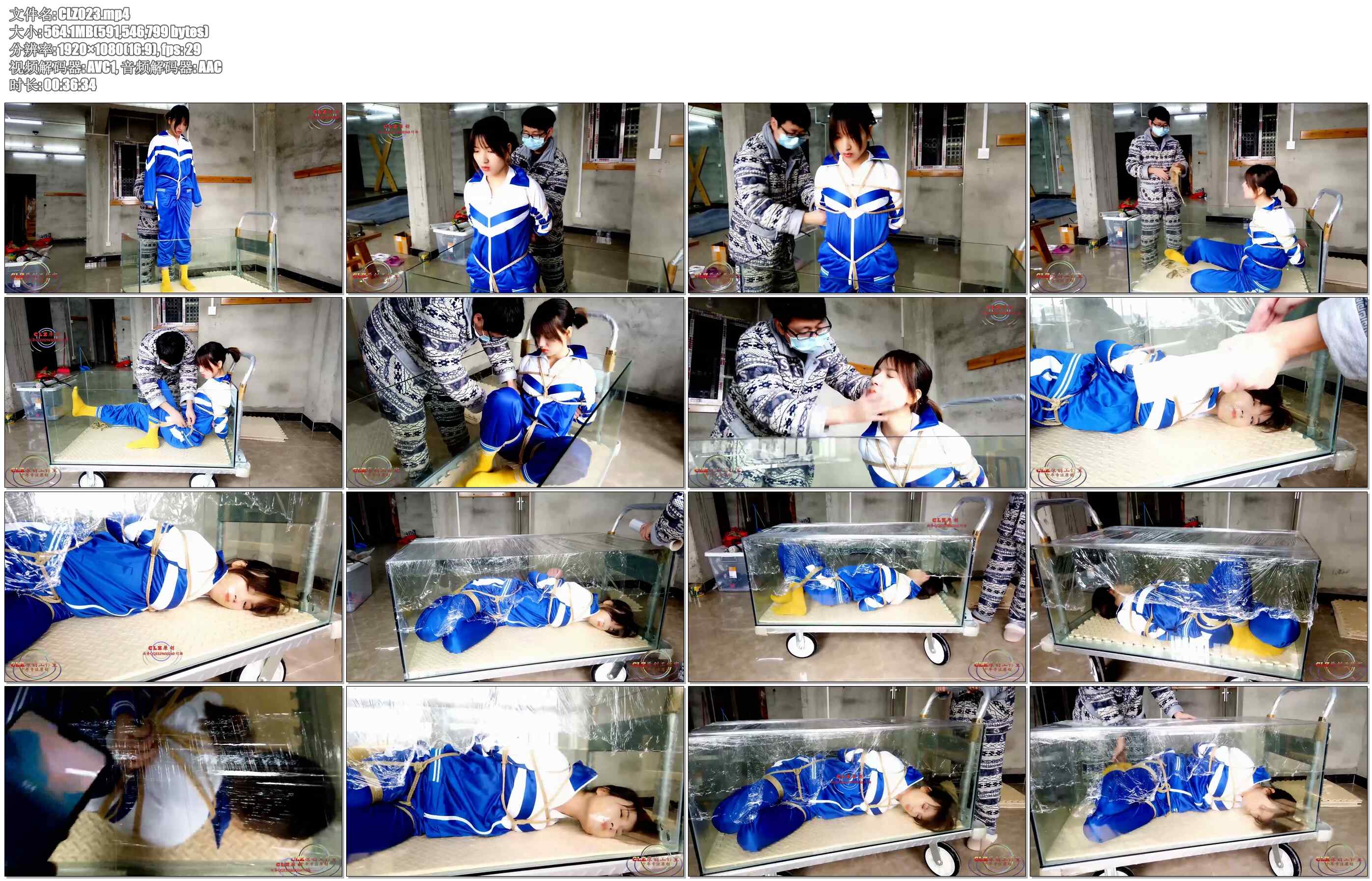 【CLZ原创】灵粒学生服棉袜透明胶堵嘴放置鱼缸里30分钟，空气慢慢减少，求生欲望挣扎..