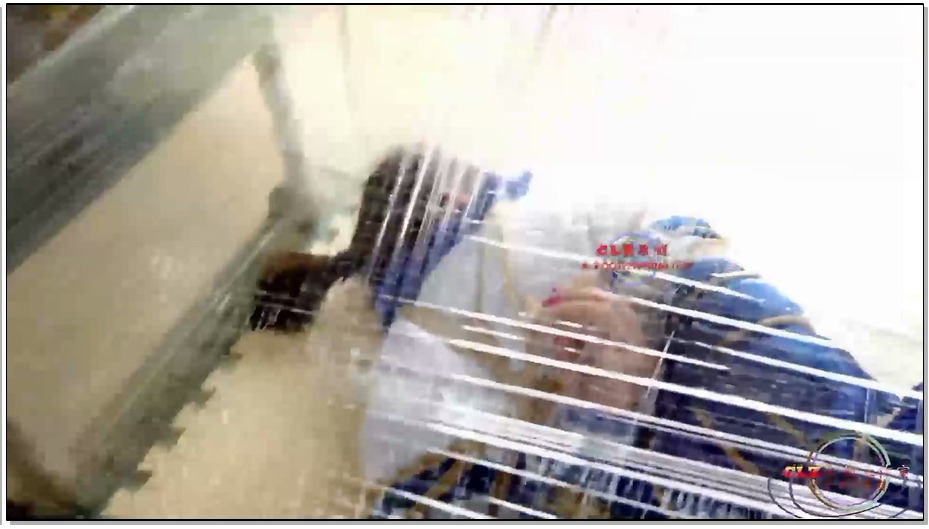 【CLZ原创】灵粒学生服棉袜透明胶堵嘴放置鱼缸里30分钟，空气慢慢减少，求生欲望挣扎..