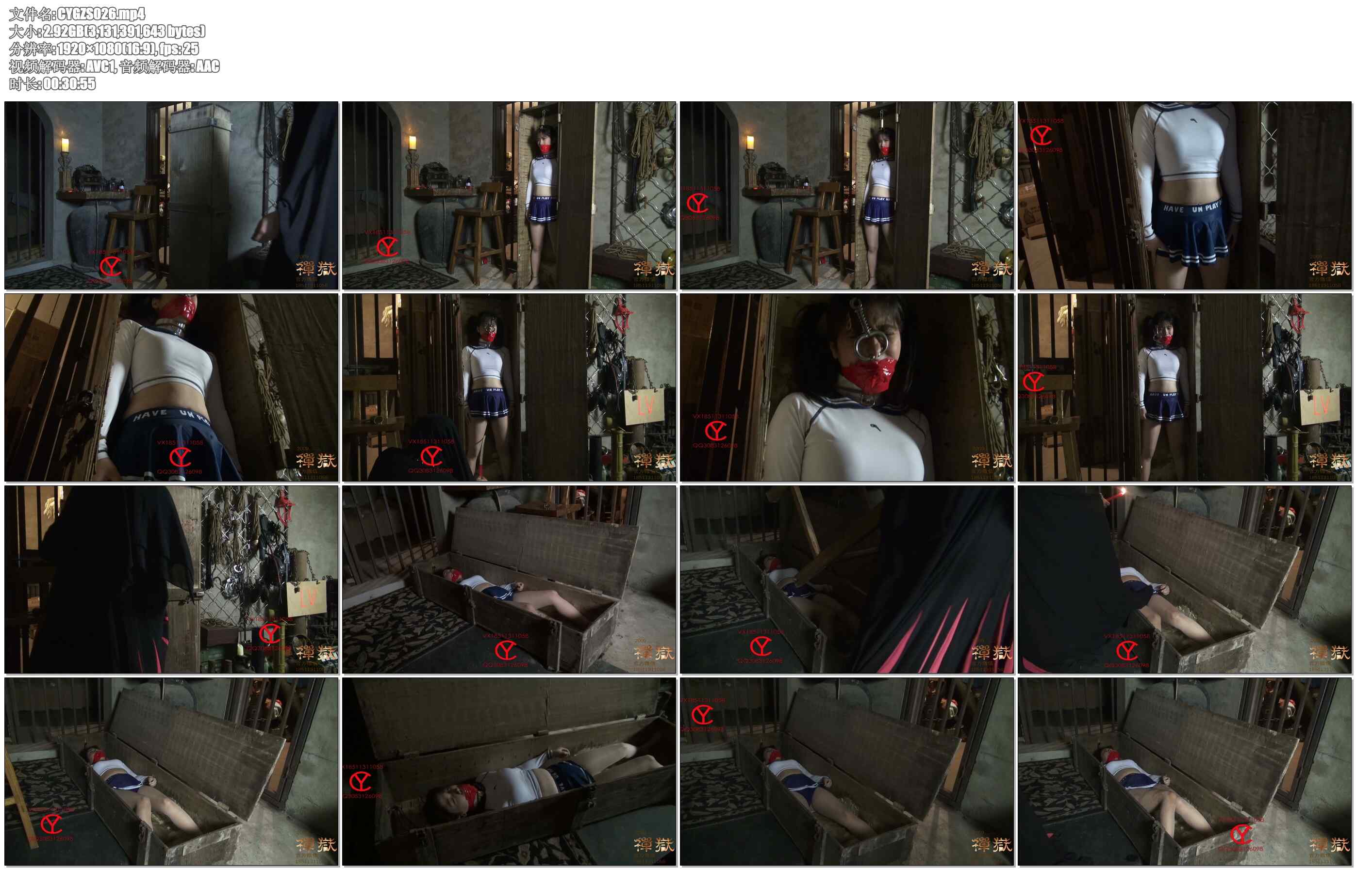 【禅狱工作室】小私20天苦难历程第七天——木箱尤物