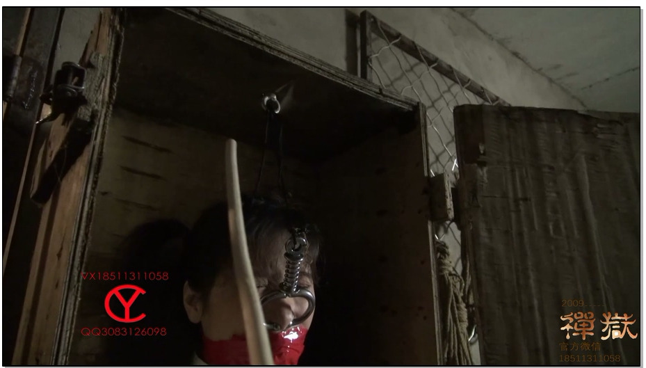 【禅狱工作室】小私20天苦难历程第七天——木箱尤物