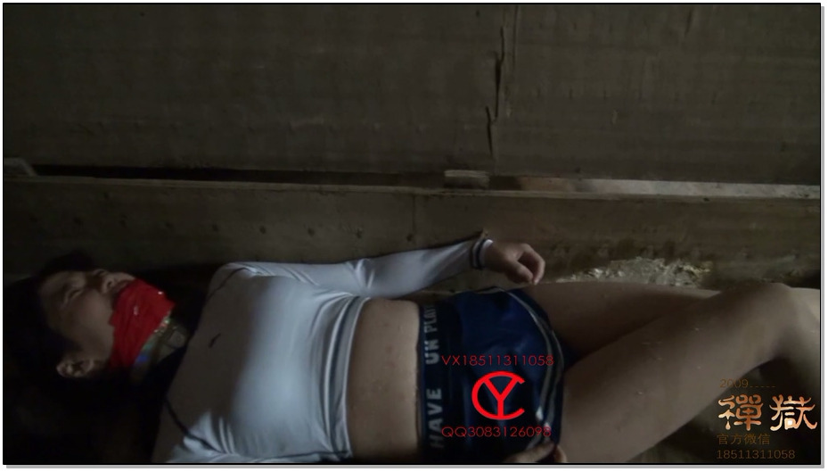 【禅狱工作室】小私20天苦难历程第七天——木箱尤物