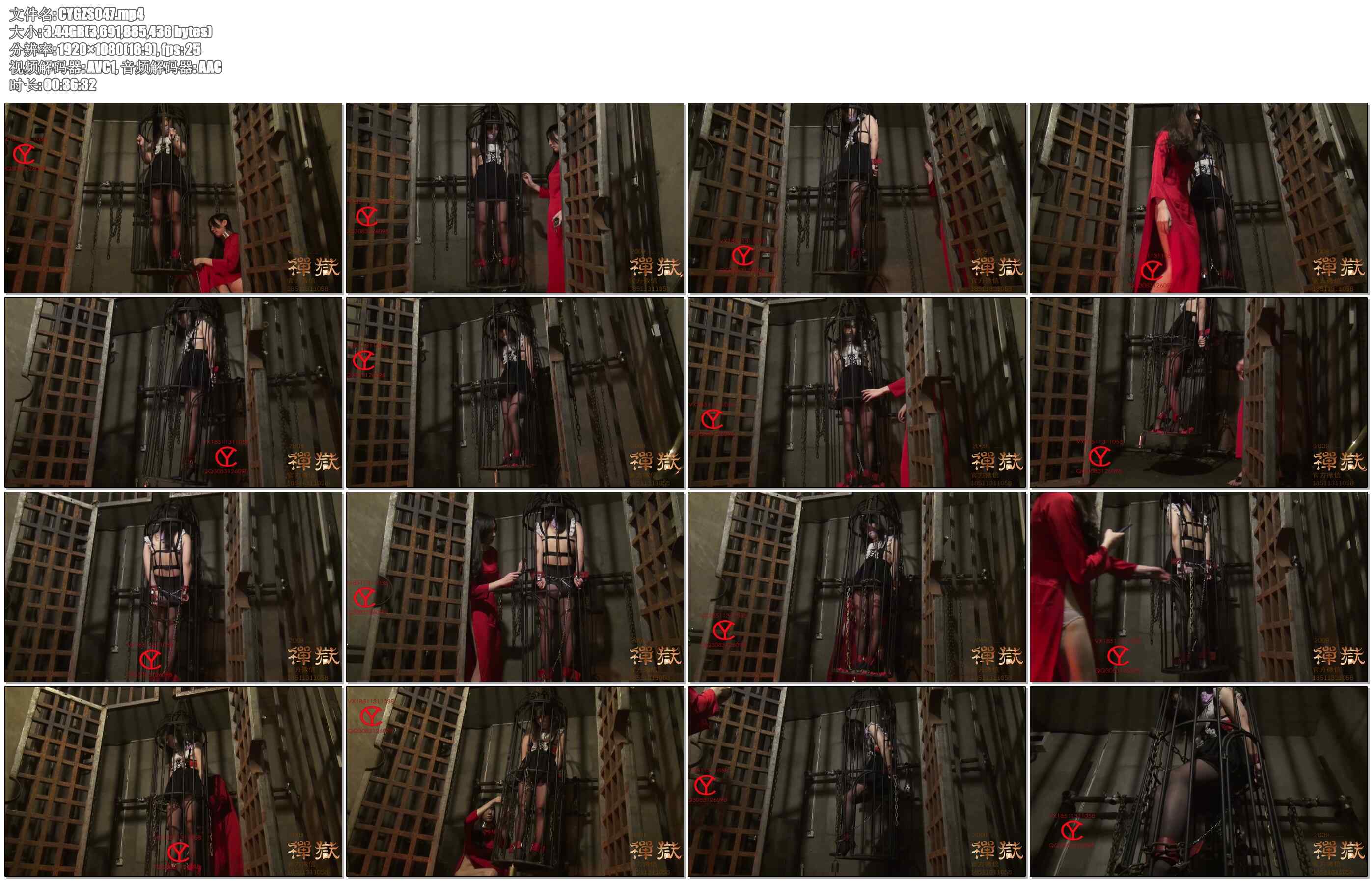 【禅狱工作室】小私20天苦难历程03 悬吊站笼 金属拘束