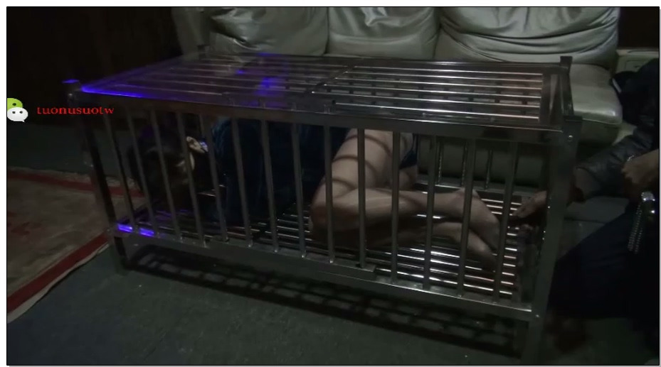 【禅狱工作室】托奴所365天创造纪实2