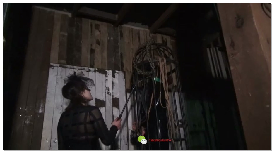 【禅狱工作室】托奴所365天之冰与火