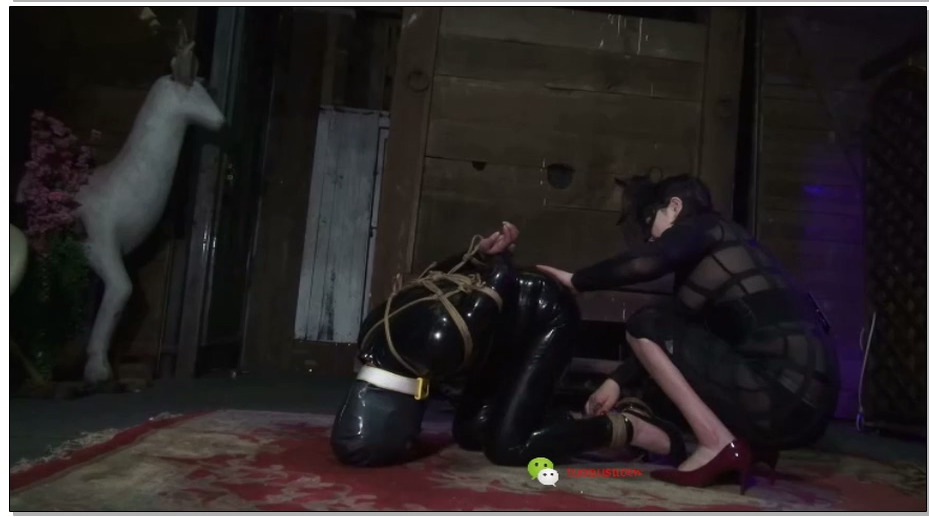 【禅狱工作室】托奴所365天之冰与火