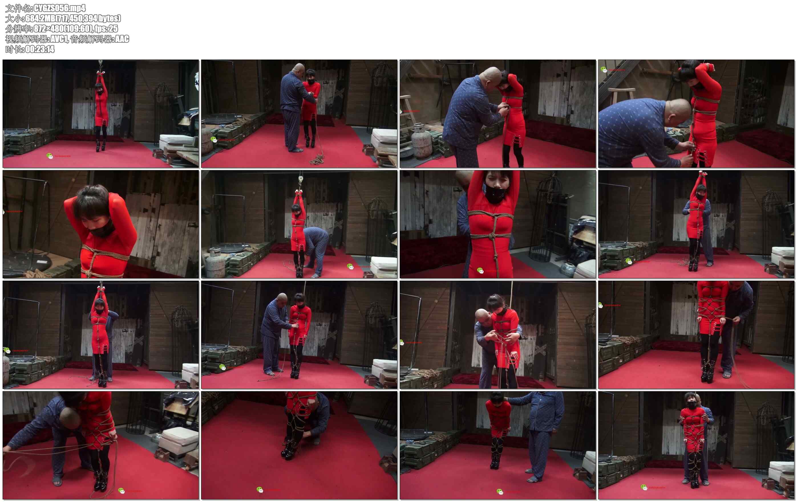 【禅狱工作室】托奴所365天纪实3 直身捆绑5米5高空吊还是很壮观的！捆绑结实怎么挣扎…