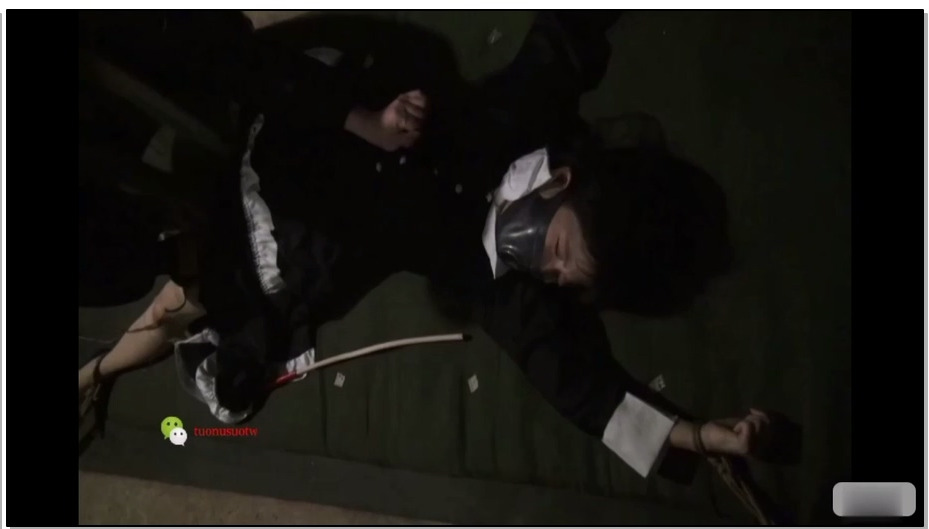 【禅狱工作室】托奴所365天纪实7