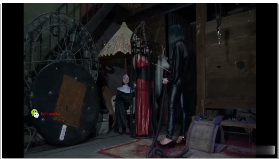 【禅狱工作室】托奴所365天纪实9