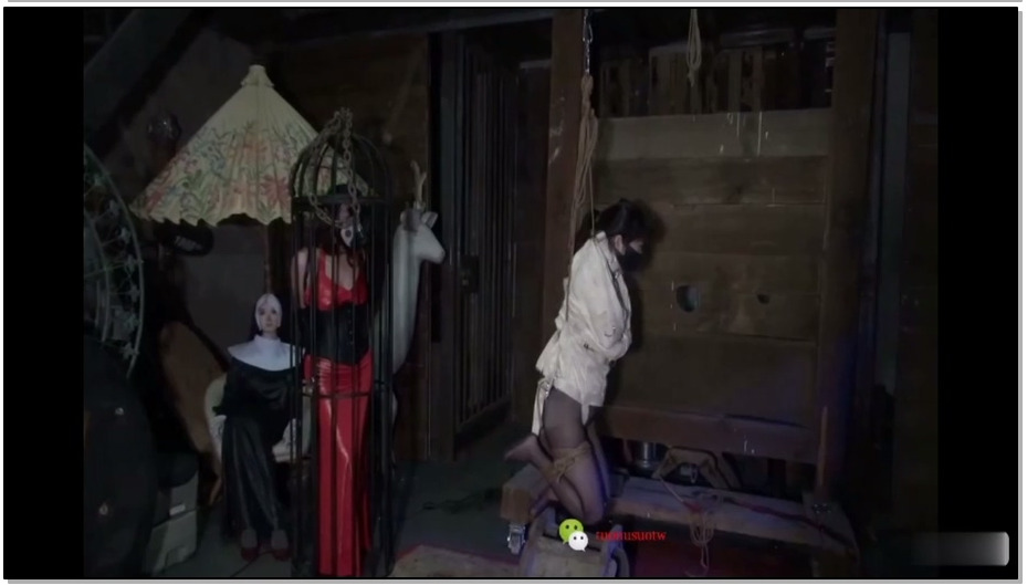 【禅狱工作室】托奴所365天纪实9