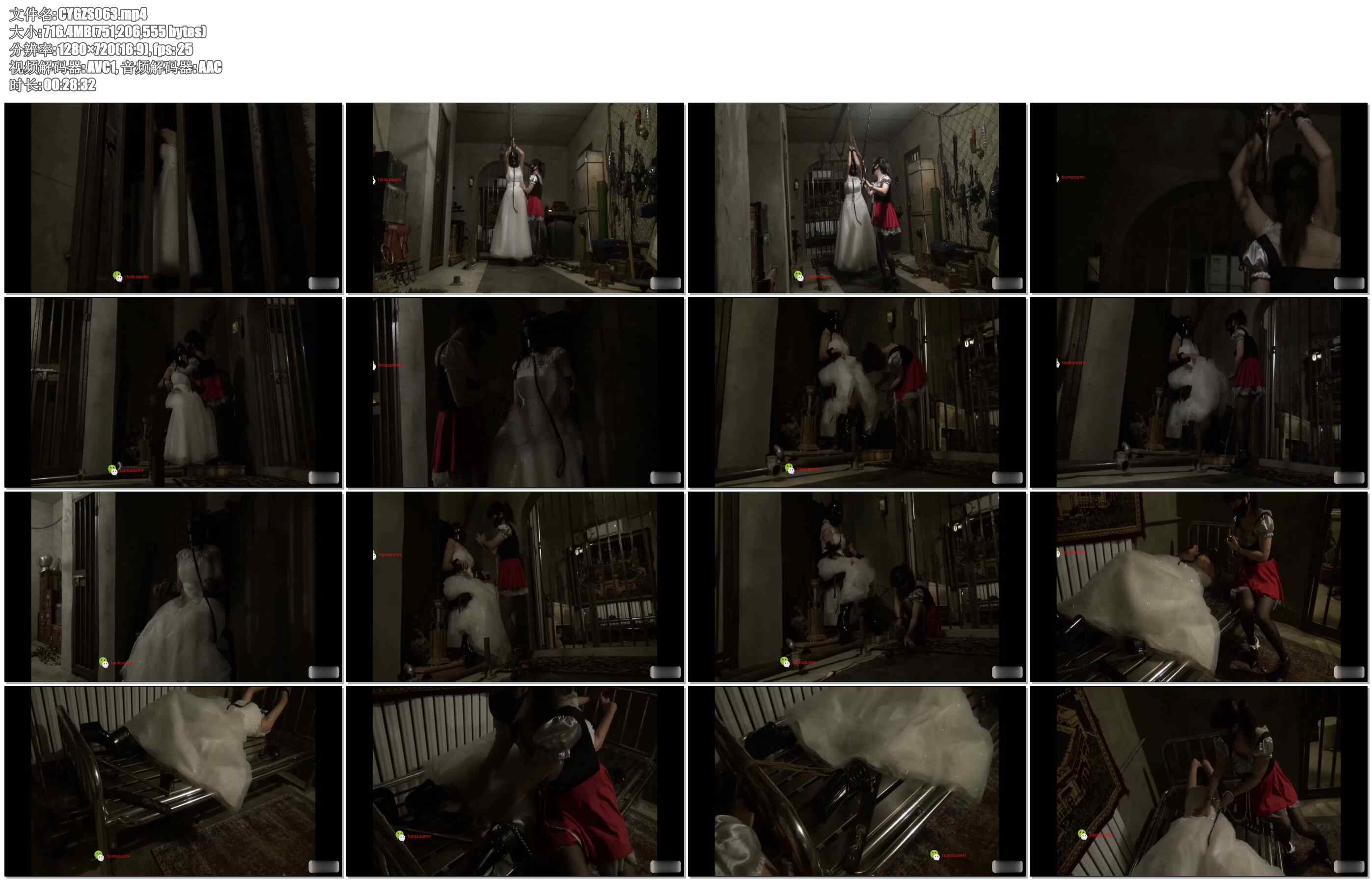 【禅狱工作室】托奴所365天纪实10