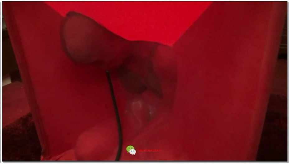 【禅狱工作室】志摩装置与胶立方 囚禁女挑战志摩装置，震动、电击自动调教装置，胶立…