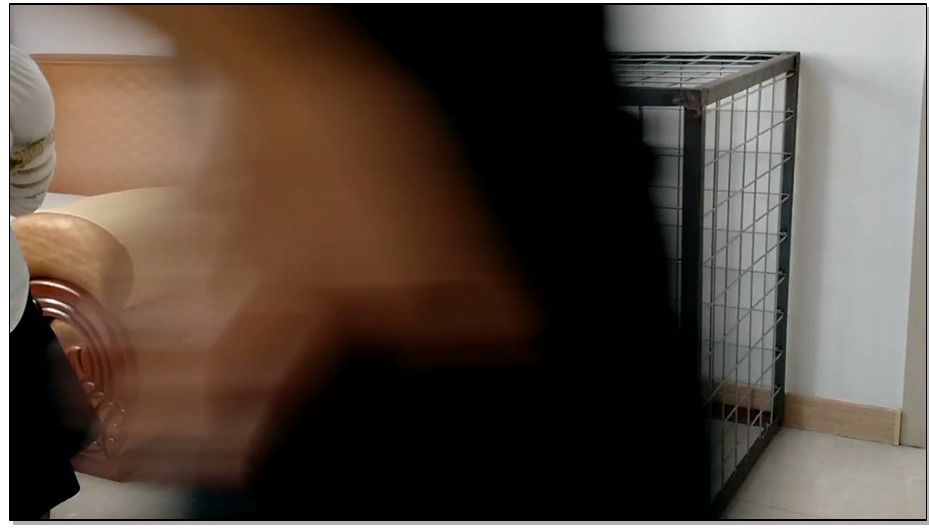 【东北原创】老板与秘书-金钱与肉体 下