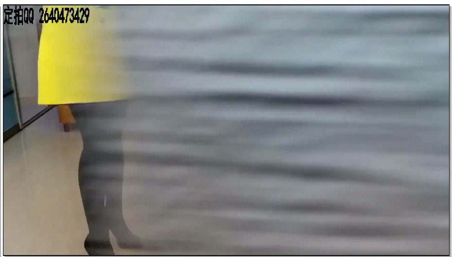 【一往情深】犬奴调教 上