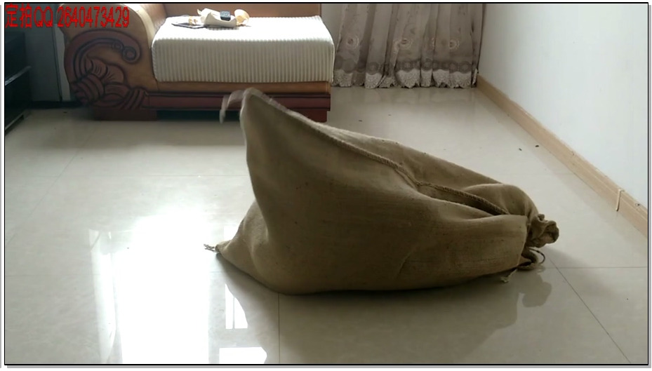 【一往情深】紧缚贩运系列之劫持可可