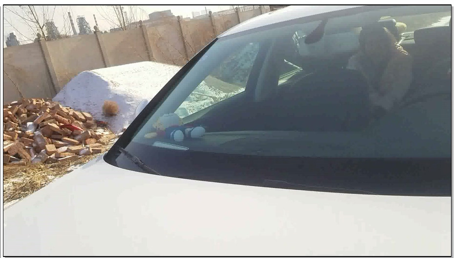 【一往情深】李沐子东北调教回忆录之城郊初调