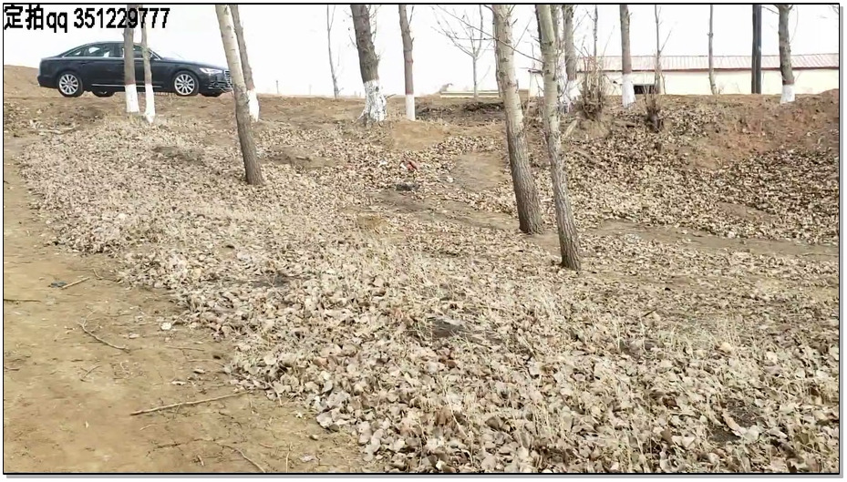 【一往情深】室外剧《sanny野外求救》