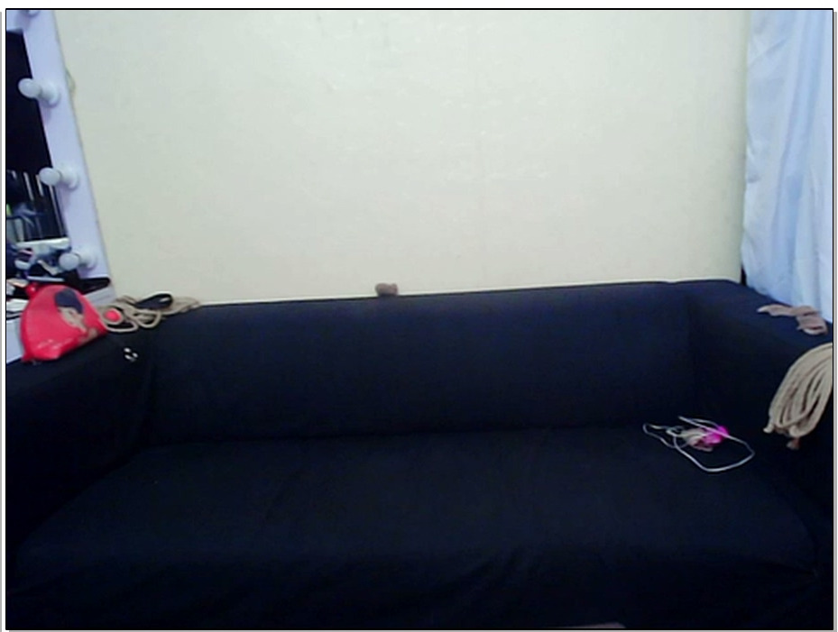 【DK-13】小十七 直播实录 女佣+兔女郎+赠送劲舞抖奶 不容错过啊！