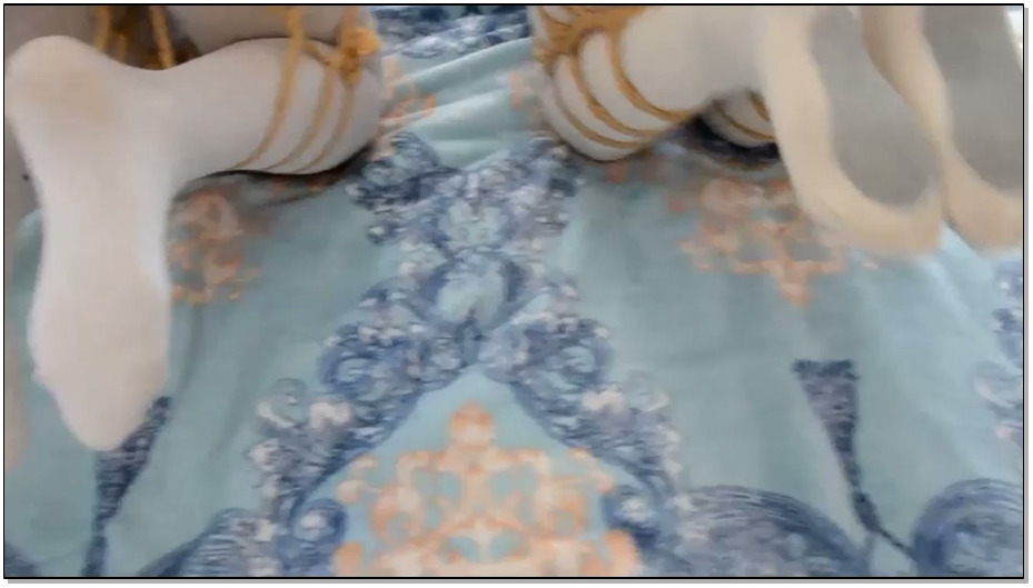 【得意客】螳螂补蝉，黄雀在后2 下 修怡，琪琪