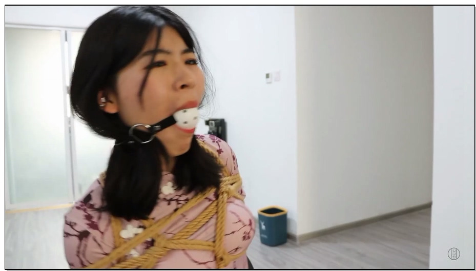 【得意客】贝贝的噩梦时刻