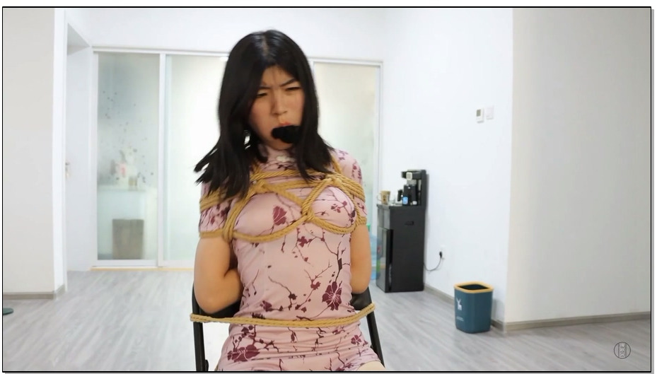 【得意客】贝贝的噩梦时刻