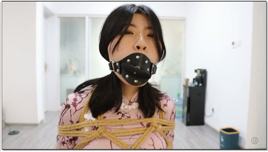 【得意客】贝贝的噩梦时刻