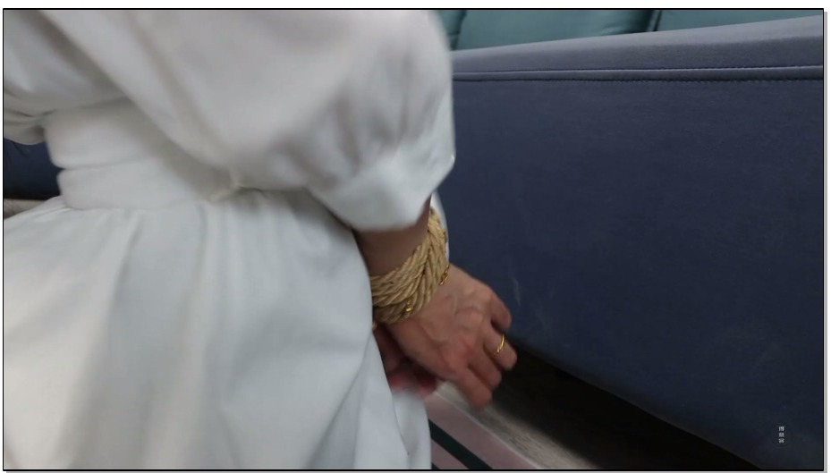 【得意客】文清遭劫逃脱未遂惨遭严厉驷马捆堵蒙眼折磨