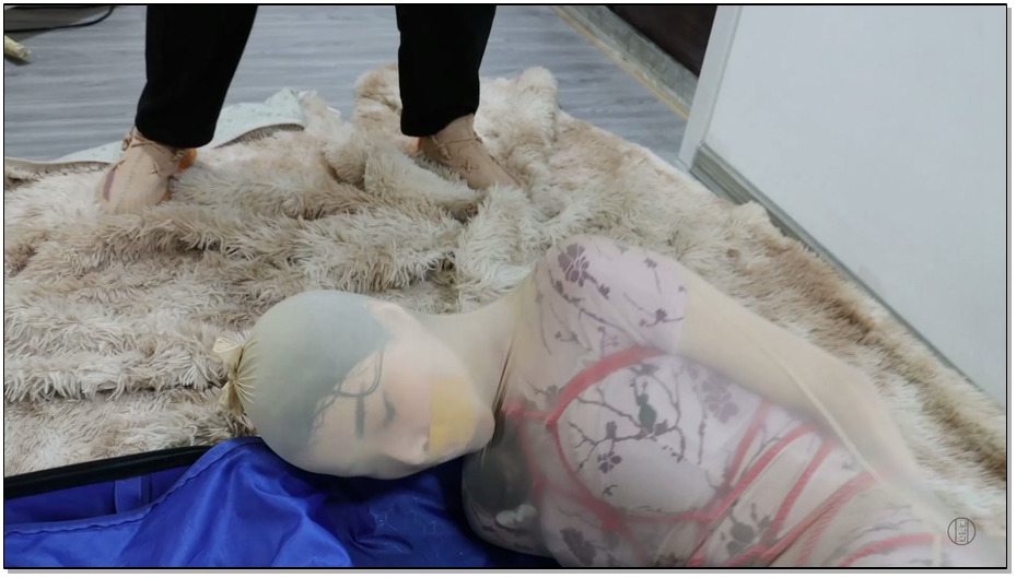 【得意客】丝袜中的旗袍女