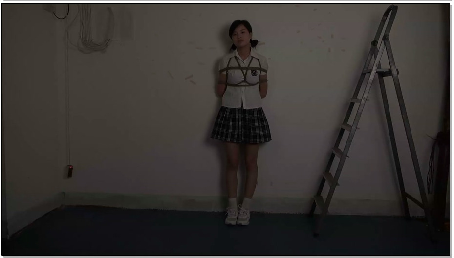 【典雅倩影】活泼的安雁