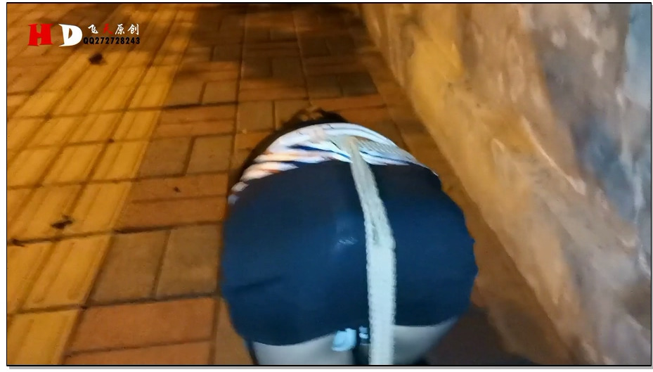 【飞天原创】云儿出演，母狗拖车，强制ZCD、TD，拖车上又坐上了80公斤重的严主，而且..