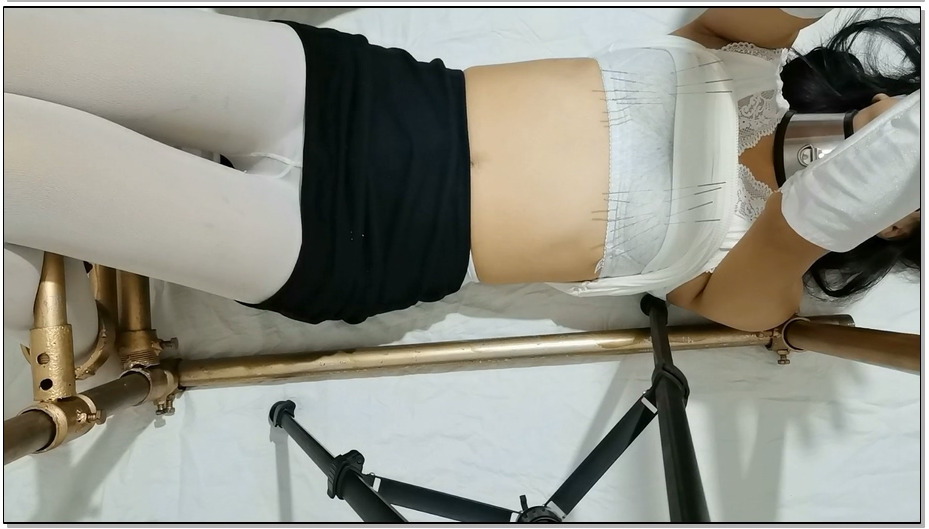 【飞天原创】多变K9架紧固，钢针，电动牙刷无限挠痒，子母棒、强制喂养