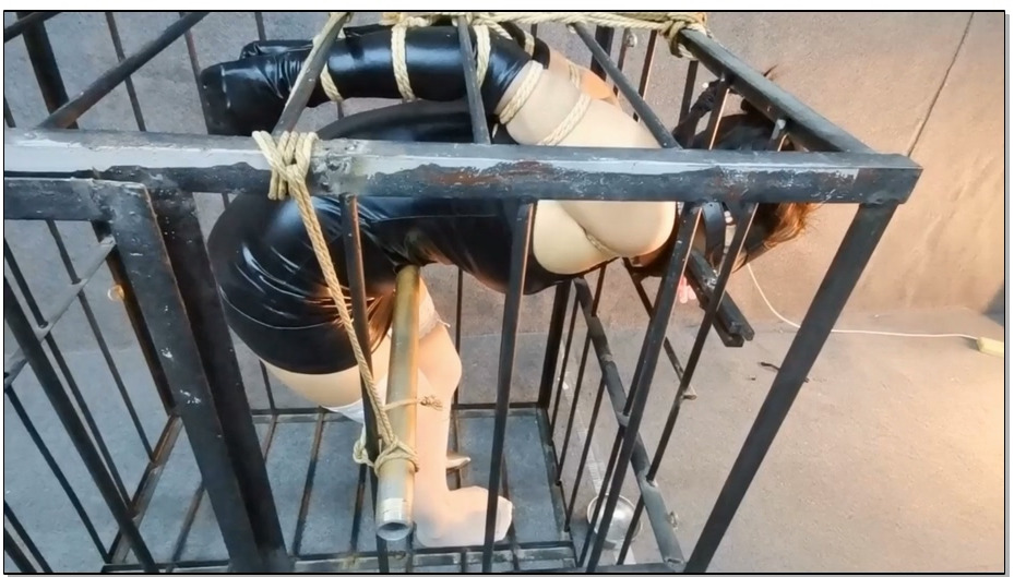 【飞天原创】丁琪被关进牢笼里，强制灌肠