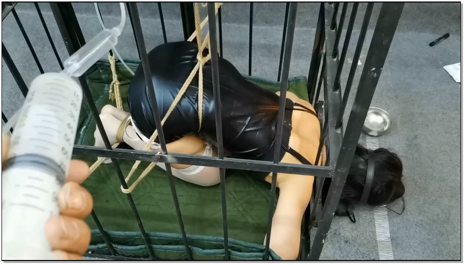 【飞天原创】丁琪被关进牢笼里，强制灌肠