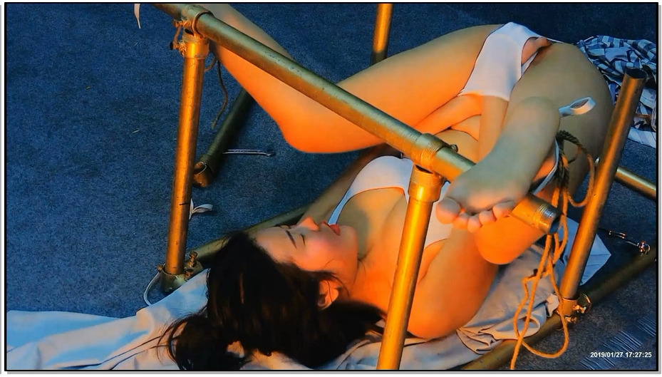 【飞天原创】客户远程QQ直播，只要把M强制GC就结束