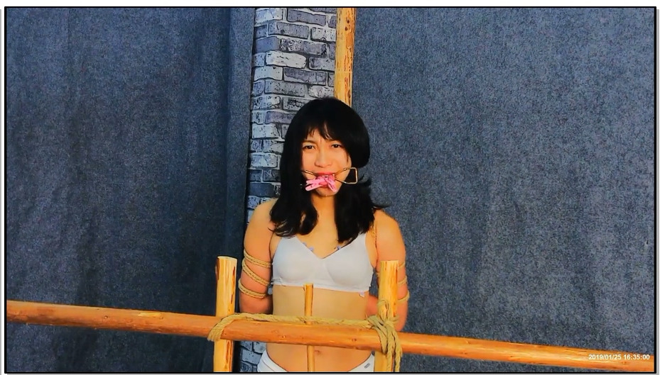 【飞天原创】云儿被牢牢绑在老虎登上，两腿强制开立固定木架之上,TJ开始