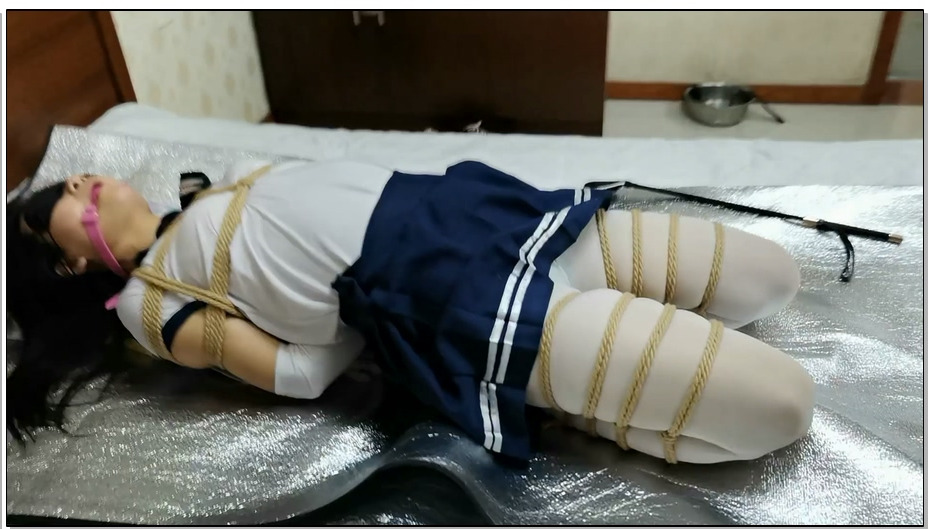 【飞天原创】又无意中聊到一个雅儿新奴，此奴是一个耐打、耐绑的实质女奴，对这种女奴…