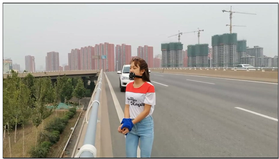 【飞天原创】云儿狗担包天，光天华曰之下竞敢在大桥上戏弄过路人，又在河边和草坪上..
